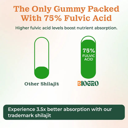 10-in-1 Alpha Shilajit Gummies