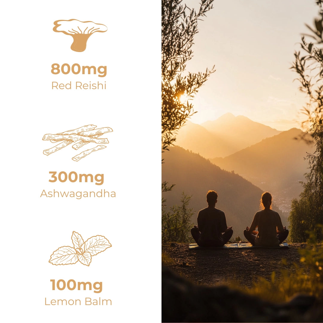 Himalayan Shilajit Gummies-Get +3" Longer & Rock Hard