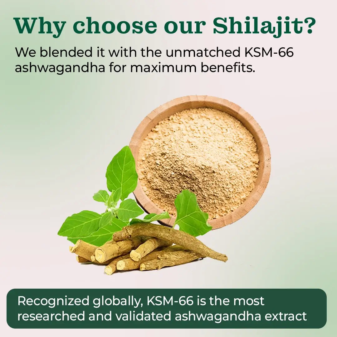 10-in-1 Alpha Shilajit Gummies