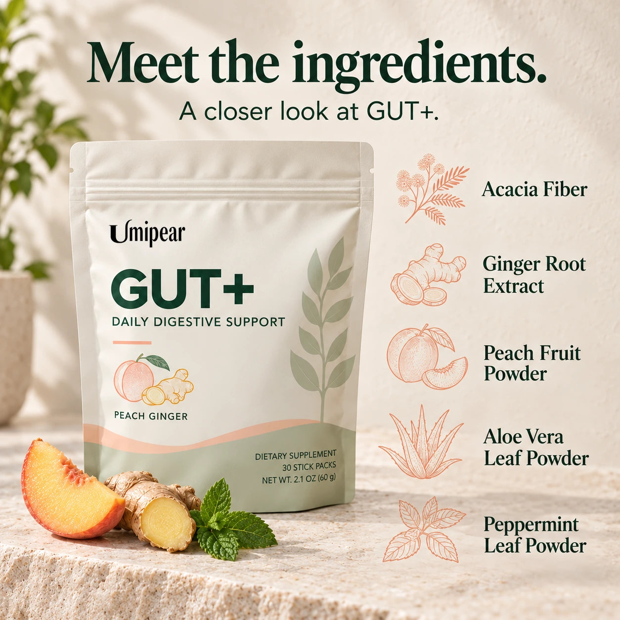GUT+ Digestive Support Powder
