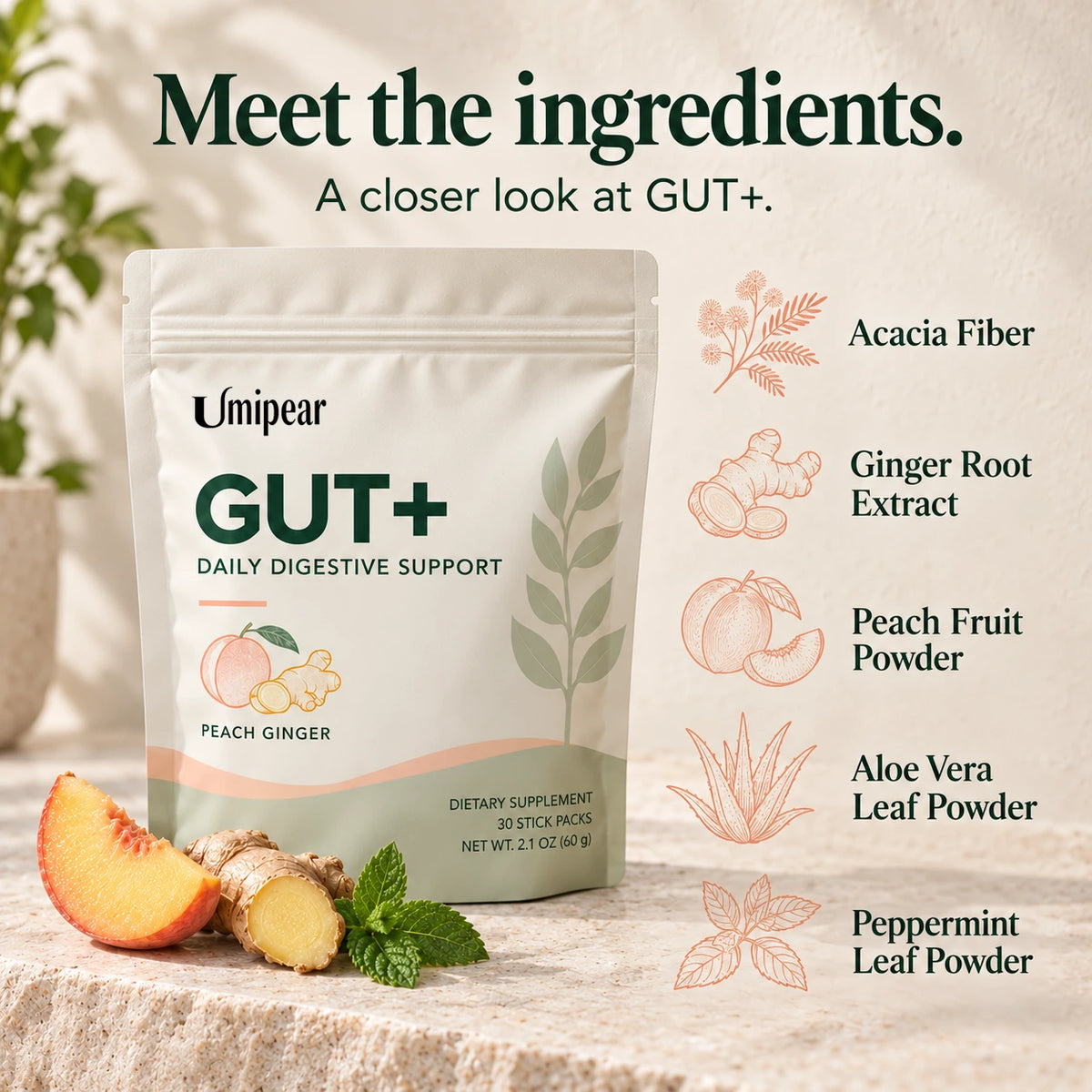 GUT+ Digestive Support Powder