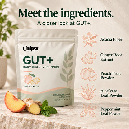 GUT+ Digestive Support Powder