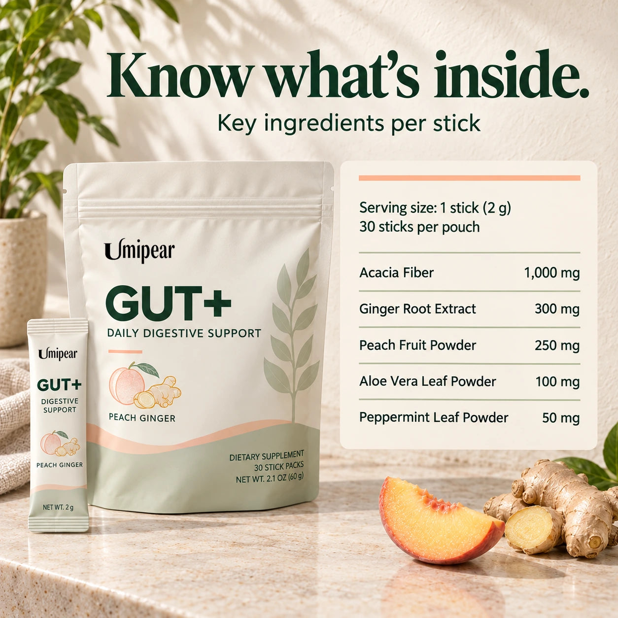 GUT+ Digestive Support Powder